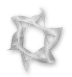 Machne Ahavas Israel Viznitz