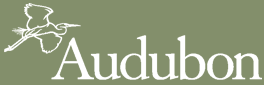 Audubon Conservation Education Center Summer Camp 