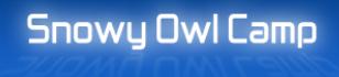  Snowy Owl Camp 