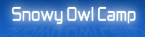  Snowy Owl Camp 