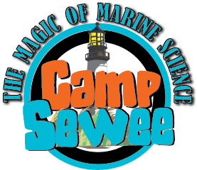 Camp Sewee
